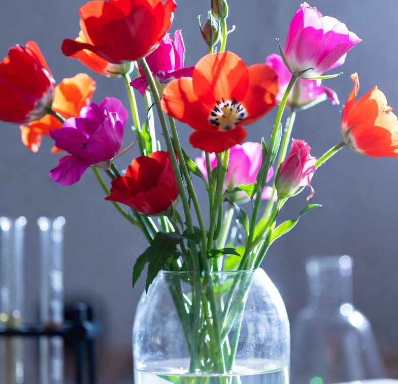 Fresh blooms kept hydrated with florev